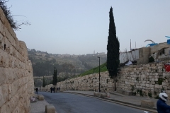 46 _View of Mount of Olives from Lions Gate
