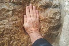 31