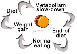 3 diet metabolism