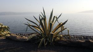 The Sea of Galilee...